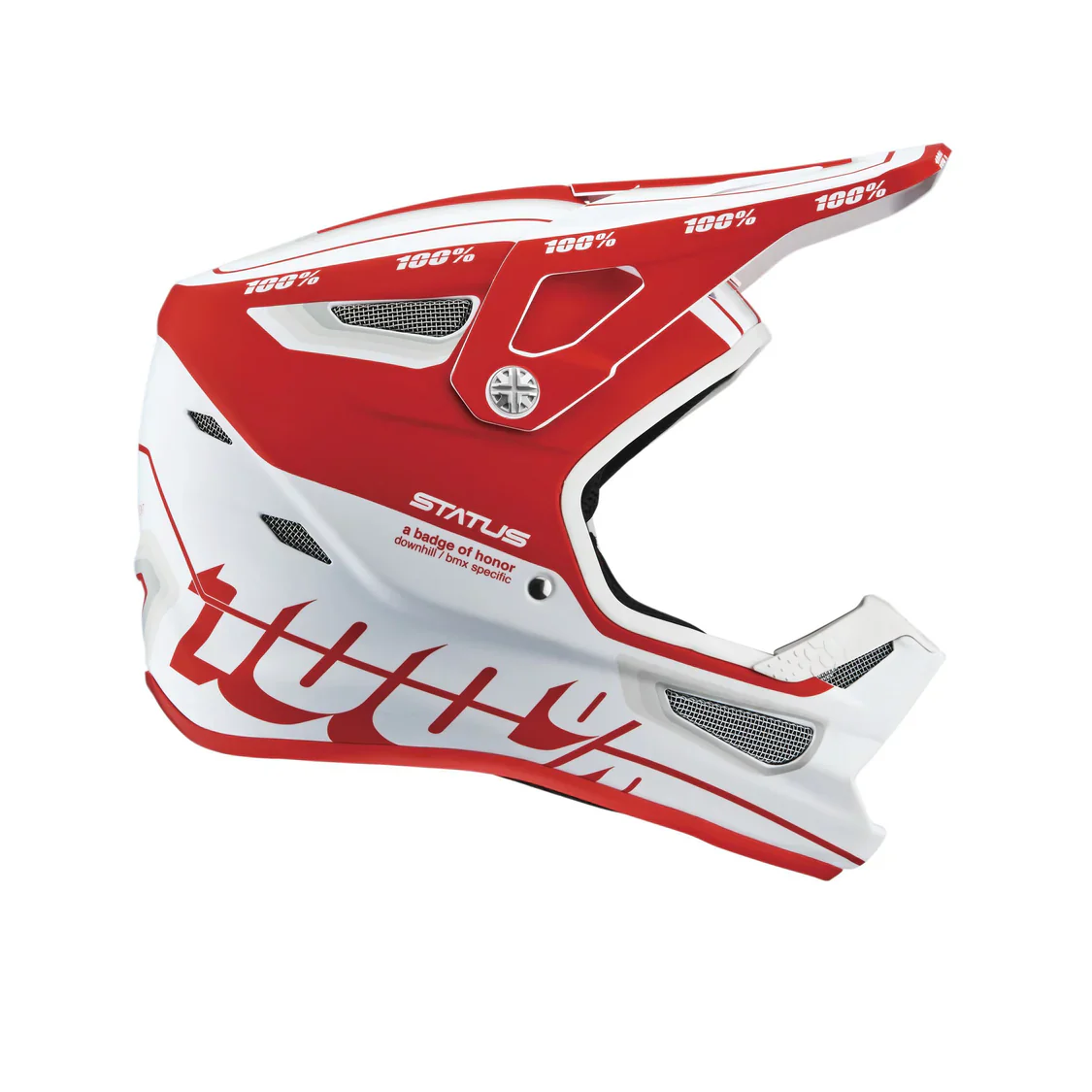 100% Status Youth Helmet - Image 5