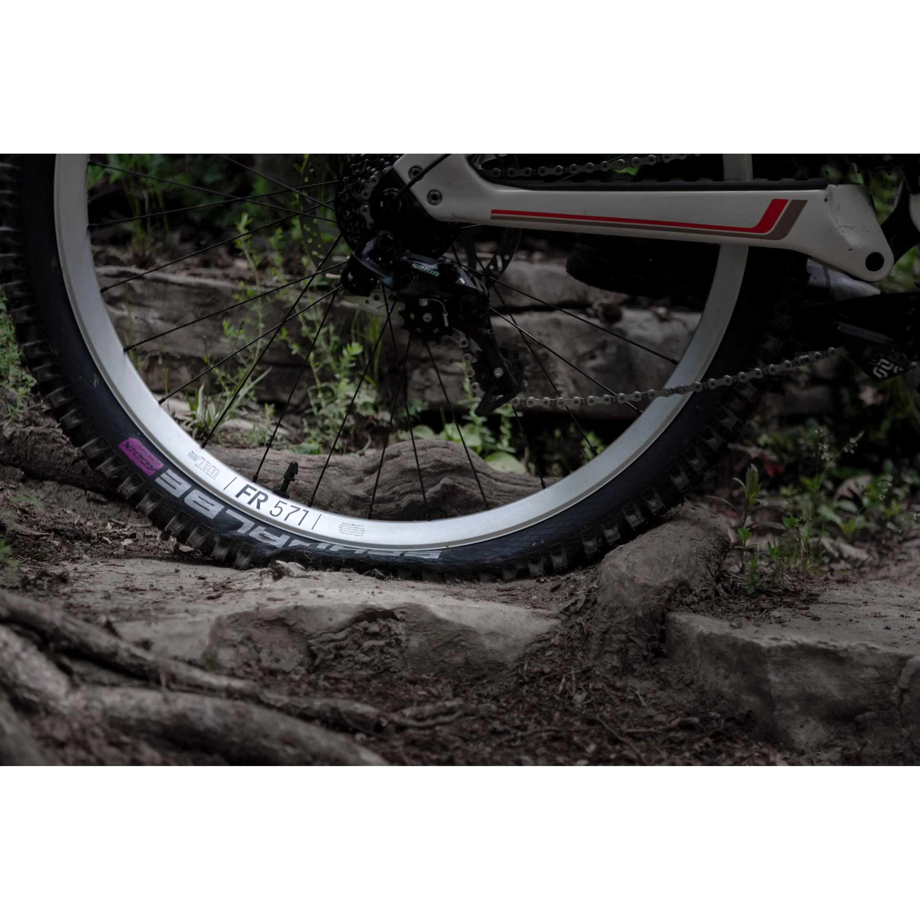 DT Swiss FR 571 Rim - Image 2