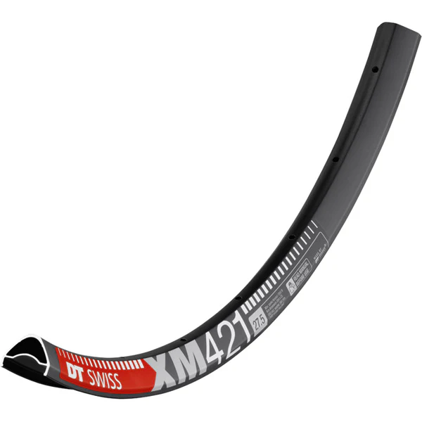 DT Swiss XM 421 Rim
