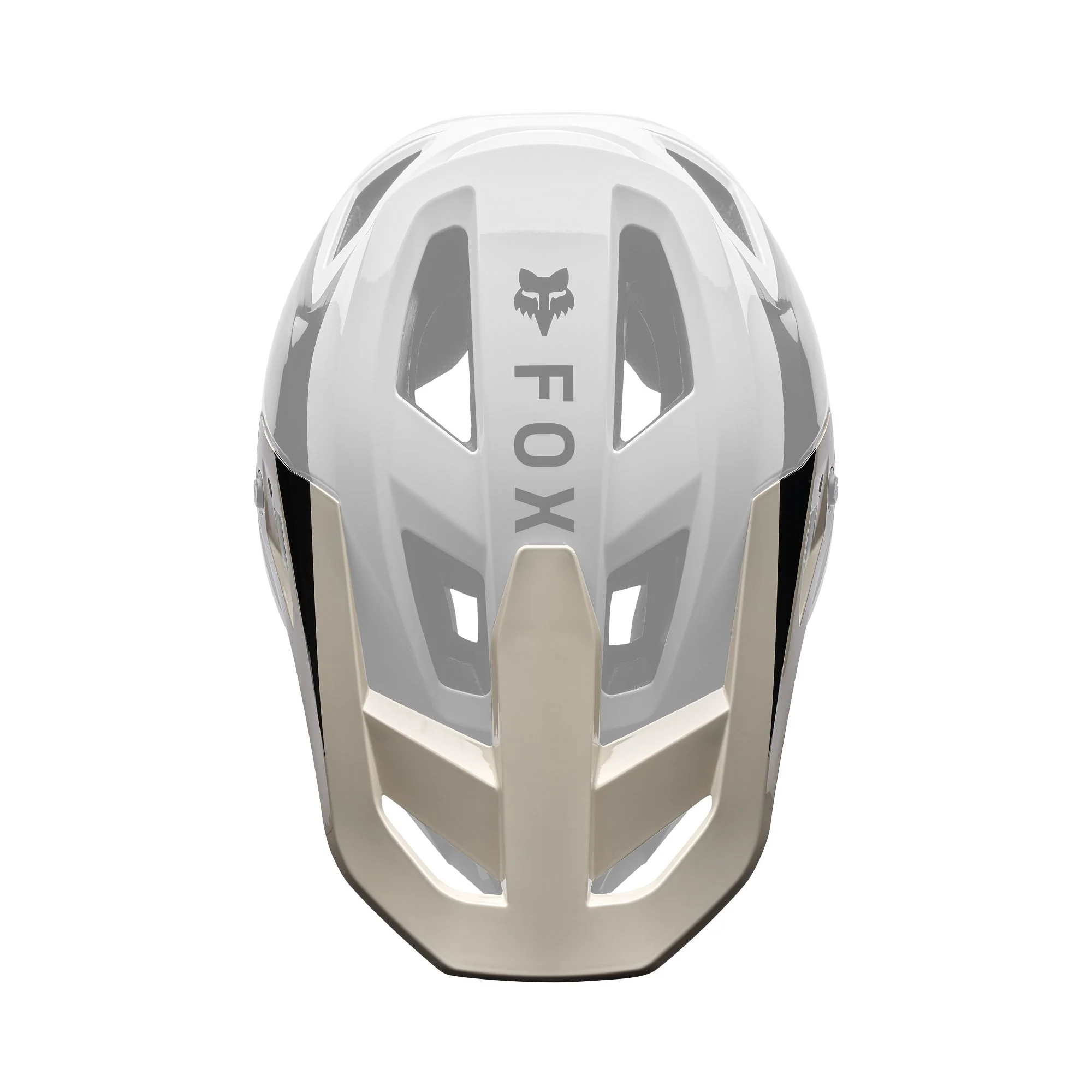 Fox Head Proframe RS Visor