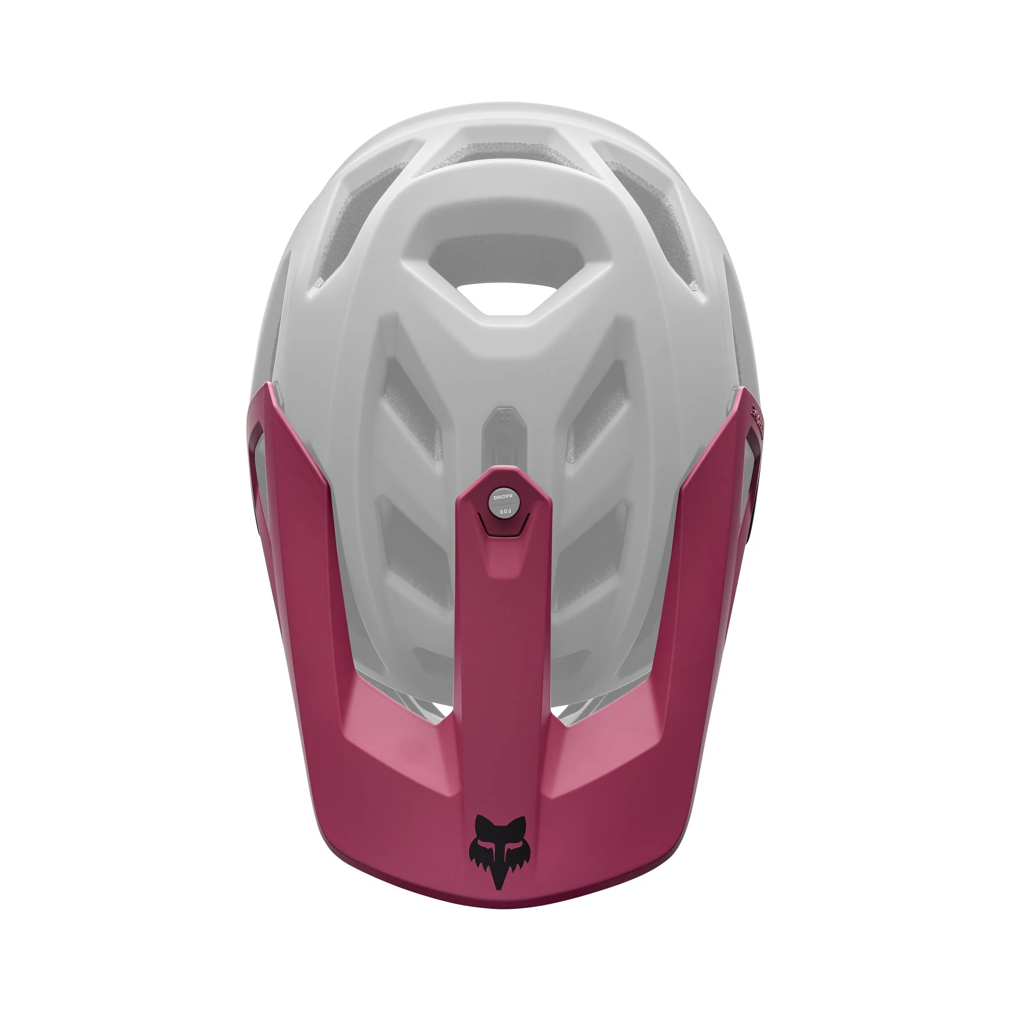 Fox Head Proframe Visor